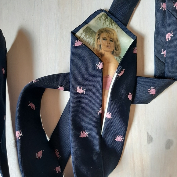 Other - 1960s peek a boo neck tie